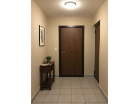 Входная квартирная дверь