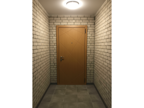 Дверь входная с панелями