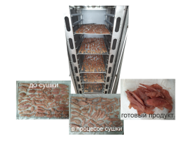 Сушильный шкаф серии «ВСХОД-1»