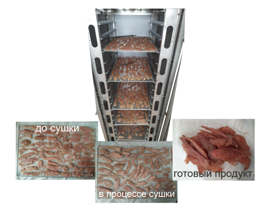 Фото 2 Сушильный шкаф серии «ВСХОД-1», г.Новосибирск 2025