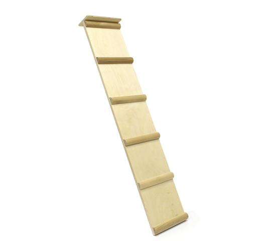 769375 картинка каталога «Производство России». Продукция Арт. К.35 Комплект «Маленький чемпион», г.Санкт-Петербург 2025 Фото 5 Арт. К.35 Комплект «Маленький чемпион», г.Санкт-Петербург 2025