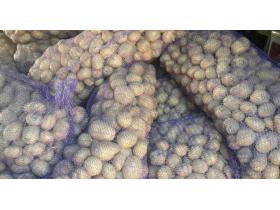 ИП Солдатов Александр Петрович