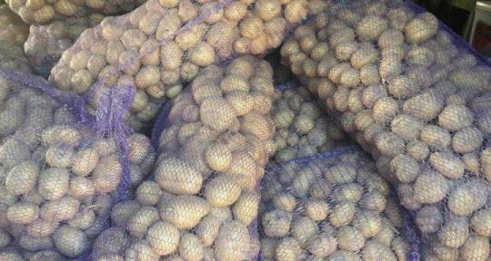 Фото №1 на стенде ИП Солдатов Александр Петрович, г.Чебоксары. 769396 картинка из каталога «Производство России».