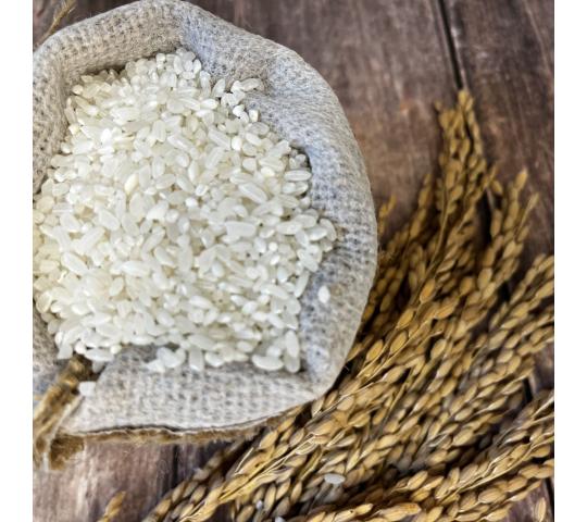 769474 картинка каталога «Производство России». Продукция Рис шлифованный ТУ Премиум, Стандарт, Эконом, г.Полтавская 2025