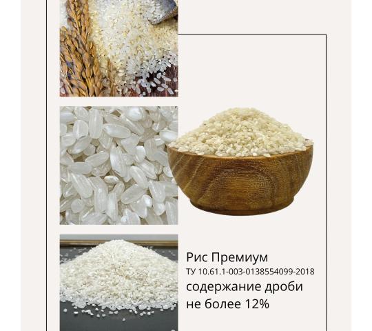 Фото 2 Рис шлифованный ТУ Премиум, Стандарт, Эконом, г.Полтавская 2025
