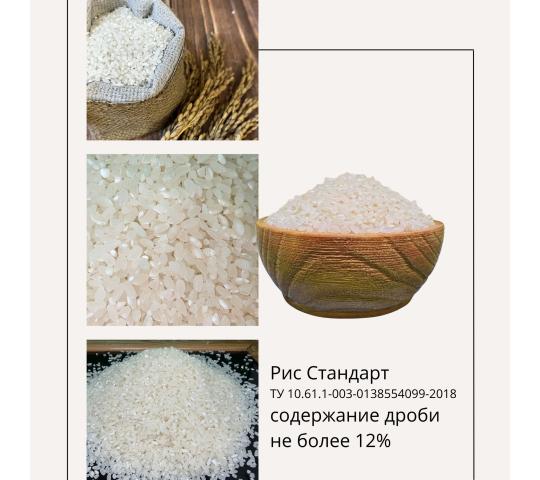 Фото 3 Рис шлифованный ТУ Премиум, Стандарт, Эконом, г.Полтавская 2025
