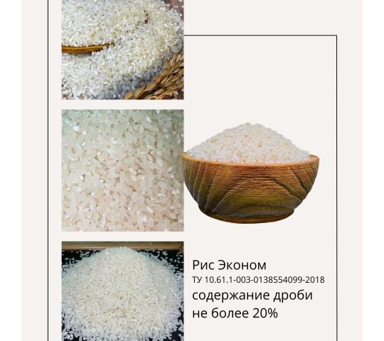 Фото 4 Рис шлифованный ТУ Премиум, Стандарт, Эконом, г.Полтавская 2025