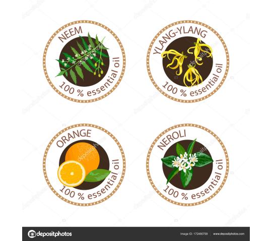 769542 картинка каталога «Производство России». Продукция Эфирное масло, г.Москва 2025