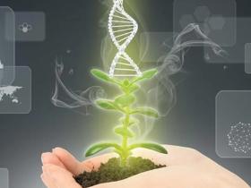 Российские учёные создали прорывную модель для биогазовых установок! Российские учёные создали прорывную модель для биогазовых установок!