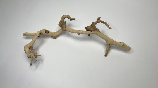 Фото 11 ИП Корпусова Е.А. Лавка Кипера, г.Москва