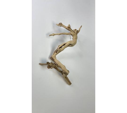 Фото 13 ИП Корпусова Е.А. Лавка Кипера, г.Москва