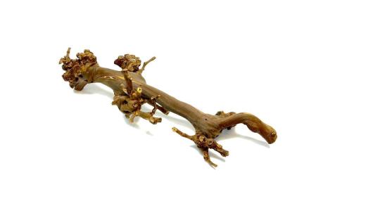 Фото 14 ИП Корпусова Е.А. Лавка Кипера, г.Москва