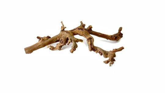 Фото 15 ИП Корпусова Е.А. Лавка Кипера, г.Москва