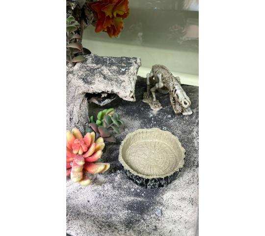 Фото 23 ИП Корпусова Е.А. Лавка Кипера, г.Москва