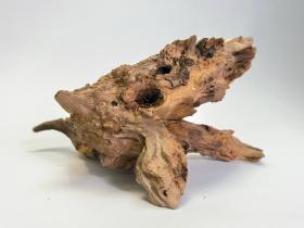 Коряги виноградная лоза