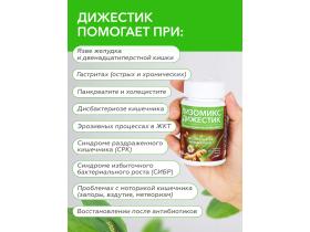 Комплекс для ЖКТ «Лизомикс Дижестик»