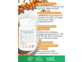 Антиоксидантный комплекс «Ларикс»