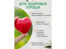 Антиоксидантный комплекс «Ларикс»