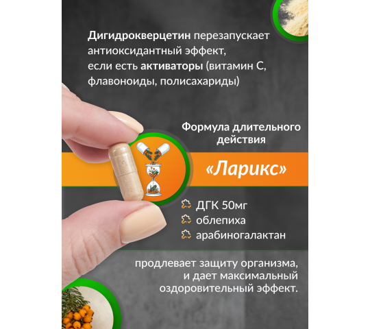 Фото 7 Антиоксидантный комплекс «Ларикс», г.Новосибирск 2025