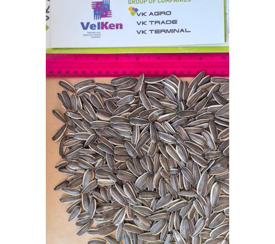 769825 картинка каталога «Производство России». Продукция Семечки подсолнечника (полосатые), г.Барнаул 2025