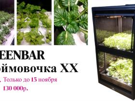 Жаркое предложение холодной осени умная теплица!