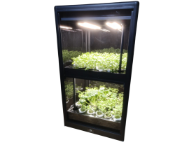 Умная теплица для кухни Дюймовочка