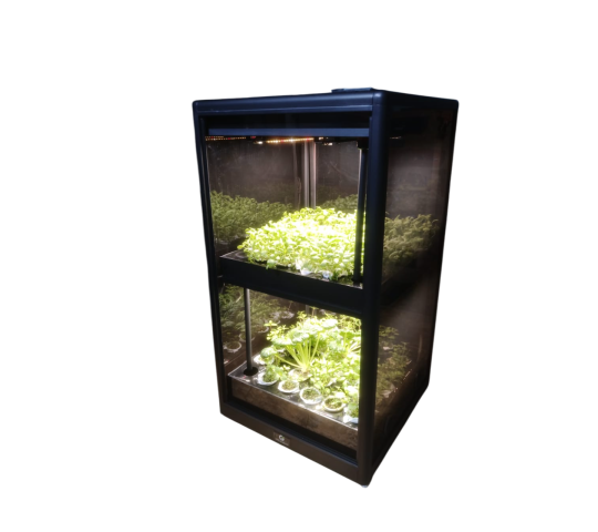 770045 картинка каталога «Производство России». Продукция Умная теплица для кухни Дюймовочка, г.Люберцы 2025 Фото 3 Умная теплица для кухни Дюймовочка, г.Люберцы 2025