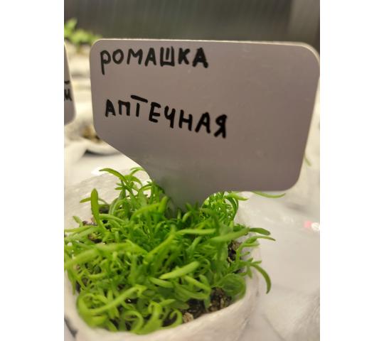 770048 картинка каталога «Производство России». Продукция Умная теплица для кухни Дюймовочка, г.Люберцы 2025 Фото 6 Умная теплица для кухни Дюймовочка, г.Люберцы 2025