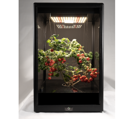 770080 картинка каталога «Производство России». Продукция Умная теплица для рыращивания «Мажер», г.Люберцы 2025