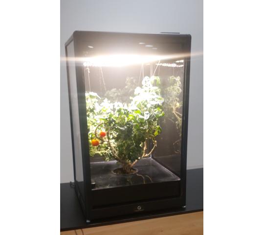 Фото 3 Умная теплица для рыращивания «Мажер», г.Люберцы 2025