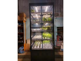 Витрина для выращивания зелени Greenbar lux