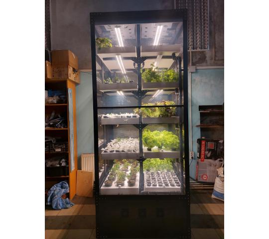 770183 картинка каталога «Производство России». Продукция Витрина для выращивания зелени Greenbar lux 5, г.Люберцы 2025 Фото 7 Витрина для выращивания зелени Greenbar lux 5, г.Люберцы 2025