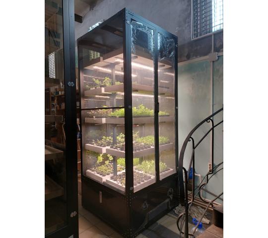 Фото 9 Витрина для выращивания зелени Greenbar lux, г.Люберцы 2025