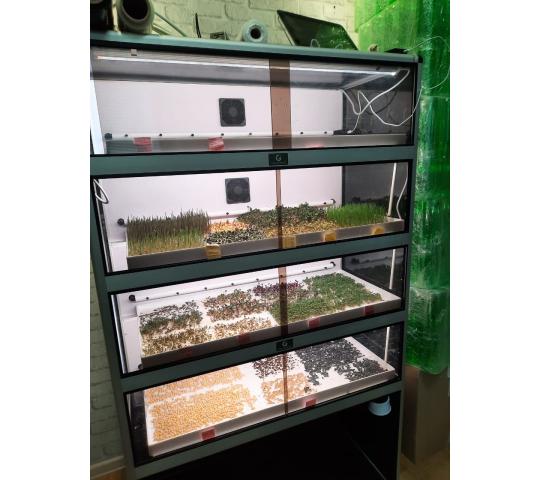 Фото 6 Витрина Greenbar MZ4 ПАК выращивание микрозелени, г.Люберцы 2025