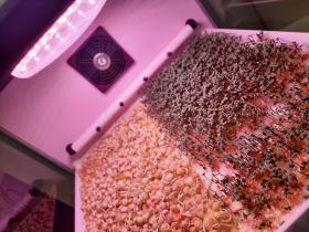 Предложение для школ, техникумов и университетов универсальный GREENBAR MZ-4 выращиваем микрозелень