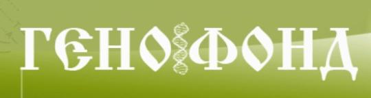 Фото опубликовано: ООО "ГЕНОФОНД", ИНН 5034035875, www.genofond-sp.ru  ©