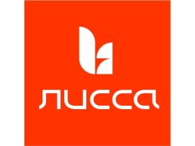 Лисса, рекламно-производственная компания