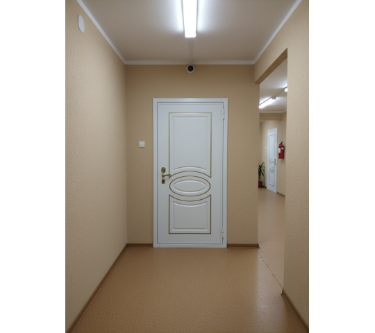 770830 картинка каталога «Производство России». Продукция Противопожарная дверь в квартиру, г.Йошкар-Ола 2025 Фото 3 Противопожарная дверь в квартиру, г.Йошкар-Ола 2025