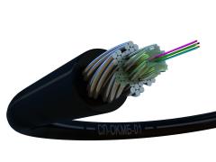 Фото 1 Малогабаритный бронированный гибкий СЛ-ОКМБ-02, г.Орел 2025