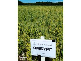 ООО «Семенная Лига»