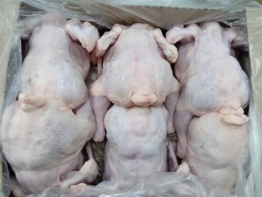 Фото 1 Цыпленок, г.Ивня 2025