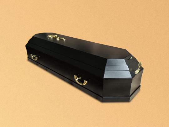 771357 картинка каталога «Производство России». Продукция Лакированные гробы, г.Томск 2025