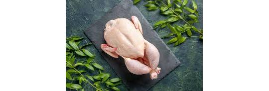 Фото опубликовано: Компания «КапиталАгро», капиталагро.рф  ©