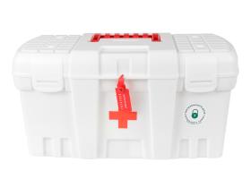 Аптечка для оказания первой помощи в организациях,