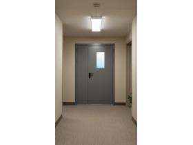 Дверь противопожарная металлическая двупольная дпм