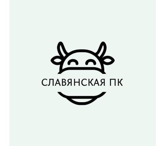 Фото опубликовано: ООО "СЛАВЯНСКАЯ ПК", ИНН 4006003559  ©