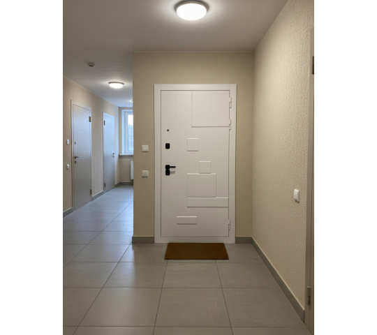 Фото 2 Противопожарные двери в многоквартирных домах, г.Йошкар-Ола 2025