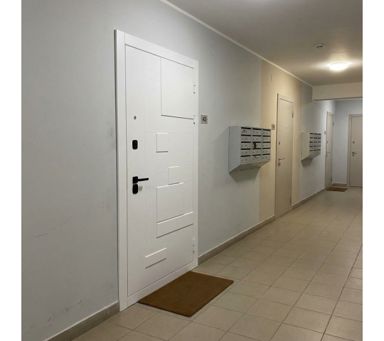 Фото 3 Противопожарные двери в многоквартирных домах, г.Йошкар-Ола 2025