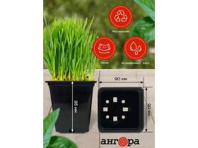 Горшок для рассады 0,5л