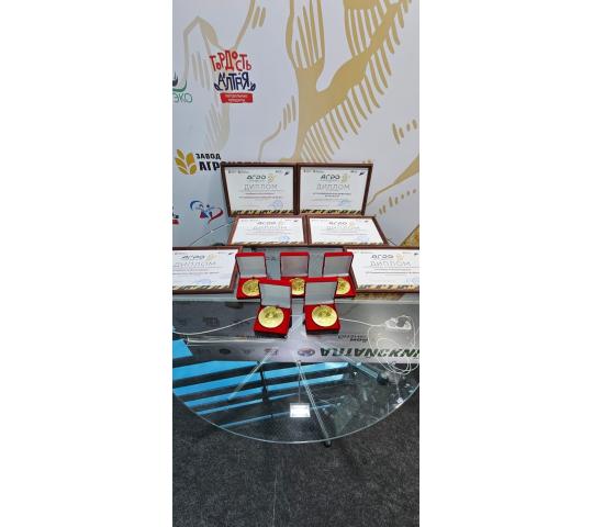 Фото 1 Наши достижения